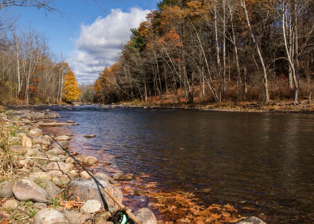 #45. Connecticut